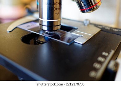 A close-up of a fixed slide and the objective of a light microscope. The objective being used is the oil immersion, 1000x. - Shutterstock ID 2212170785