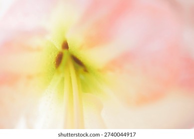 Close-up of a flower's inner structure featuring soft pink petals and yellow stamen, with a blurred background emphasizing the floral beauty