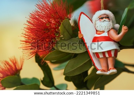 Close-up of flowers of New Zealand's native Pohutukawa tree with Santa Christmas decoration. The tree flowers over the NZ summer and is often referred to as the New Zealand Christmas tree.