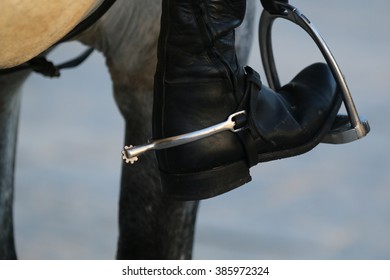 10,565 Horse whip Images, Stock Photos & Vectors | Shutterstock