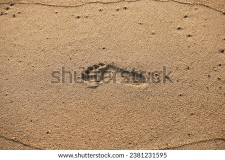 Similar – Image, Stock Photo Traces in the sand Beach