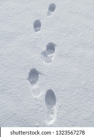 Closeup Of Footsteps In Fresh Snow.