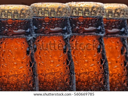 Image, Stock Photo Beer bottle Macro