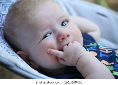 Close-up Of Four Month Old Baby Boy With Bright Blue Eyes And Fingers In Mouth Or Folded Nicely On The Chest In Bouncy Seat