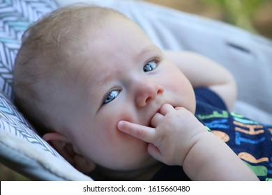 Close-up Of Four Month Old Baby Boy With Bright Blue Eyes And Fingers In Mouth Or Folded Nicely On The Chest In Bouncy Seat