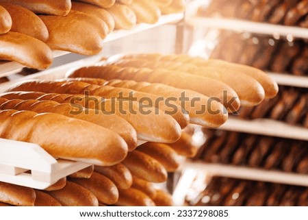Closeup fresh bread with golden crust on store shelves, sunlight.
