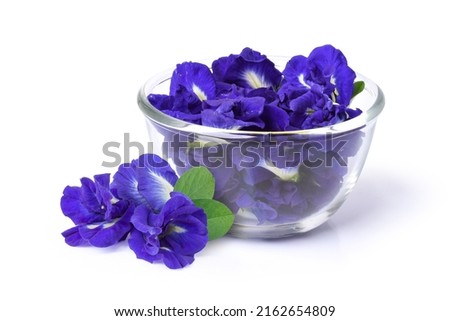 Closeup fresh butterfly pea flower or blue pea, clitoria ternatea with green leaf in wooden bowl isolated on white background.