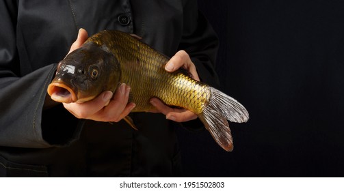 Close-up Of Fresh Carp In Hands On A Dark Background. Woman Cook In A Black Jacket Is Holding A Fish. Cooking