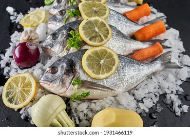 Fruits De Mer High Res Stock Images Shutterstock