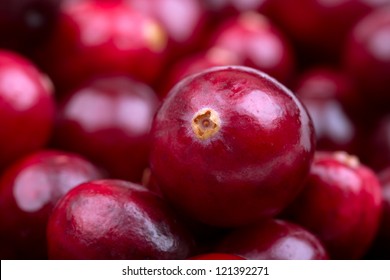 A Closeup Of Fresh Cranberries With Intentional Shallow Depth Of Field