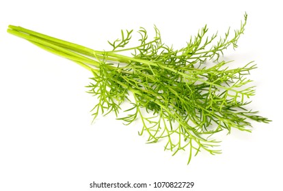 Closeup Of Fresh Dill Weed Isolated On White