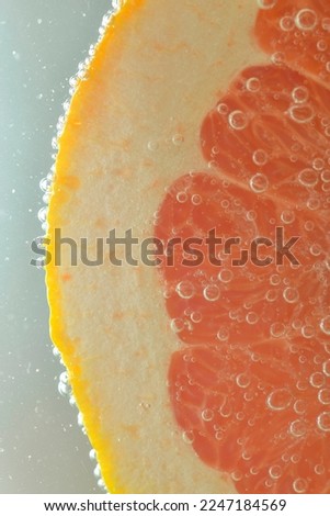 Close-up of fresh grapefruit slice on white background. Slice of red grapefruit in sparkling water on white background, close-up. Vertical image.