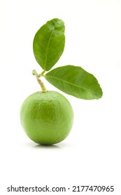 Close-up Of Fresh Green Organic Lemon (Citrus Limon) With Leaf Isolated Over White.