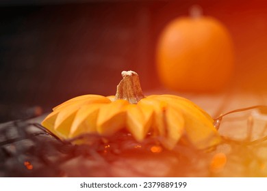 A close-up of a fresh, orange pumpkin for autumn celebration.