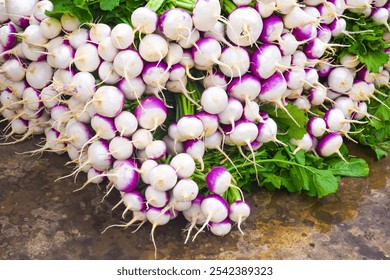 A close-up of fresh purple and white turnips. Perfect for healthy eating, cooking, and farming concepts, in holes, fresh turnip. Turnip is a typical root vegetable used in pickling texture background - Powered by Shutterstock