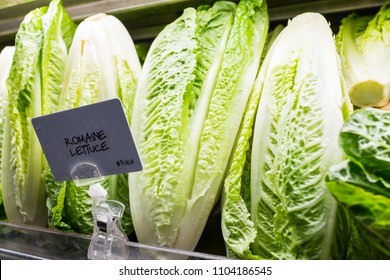 Closeup Of Fresh Raw, Expensive Green Romaine Lettuce Heads In Supermarket Grocery Market Store Display With Sign, Price Per Each