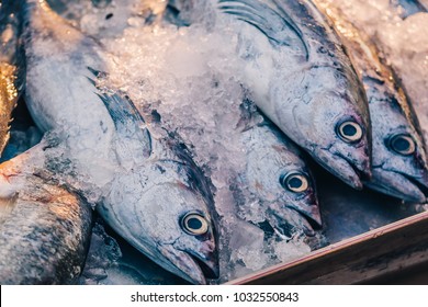 Closeup Of Fresh Raw Short Mackerel Or Shortbodied Mackerel (Rastrelliger Brachysoma Fish) On Ice In The Local Open Market Against Golden Sunbeam As Fishery Industry Or Asian Fish Market Background