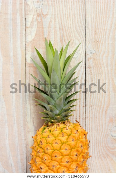 video converter pineapple