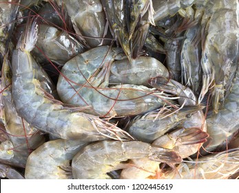 Closeup Fresh Seafood Prawns Crabs Squids Stock Photo 1202445619 ...