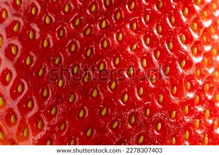 closeup of fresh strawberry. red background 