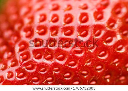 Closeup of fresh strawberry showing seeds. Detailed surface shot of a fresh ripe red strawberry.