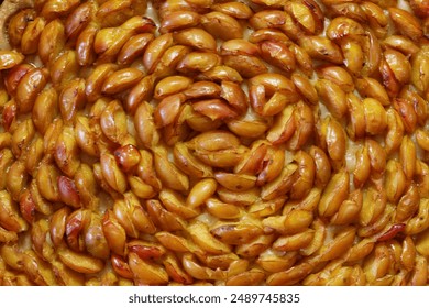 Close-up of a freshly baked plum tart with golden brown crust and glistening fruit - Powered by Shutterstock