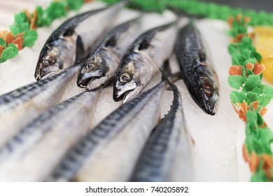 A Close-up Of Freshly Caught Mackerel On Ice On A Market Stall In England, UK