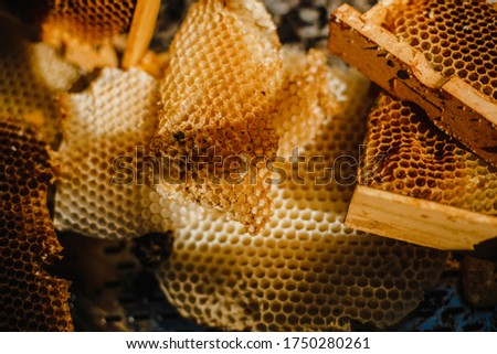 A closeup of a freshly harvested beeswax from a wooden beehive box