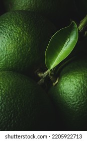 Close-up Of Freshly Harvested Green Skin Oranges, Bunch Of High Vitamin C Citrus Fruits With Leaf, Taken In Dramatic Lighting, Dark Food Photography