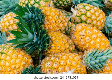 close-up of freshly harvested ripe pineapple variety honey gold (Ananas comosus) - Powered by Shutterstock