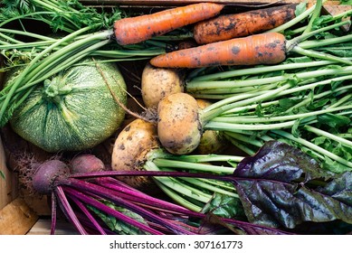 Closeup of freshly harvested vegetables (turnips, beetroots, carrots, round marrow), top view