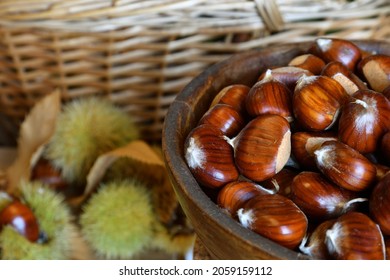 Close-up of freshly picked chestnuts inside a wooden bowl with blurred green hedgehogs in the background. October, Chestnut harvest time. Typical fresh autumn fruits.