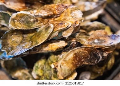 Closeup of freshly steamed oysters at Bowens Island restaurant