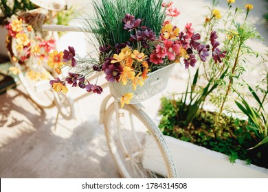Close-up of the front basket of decorative bike with wildflowers and herbs on a white background