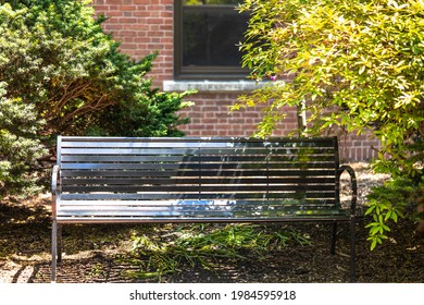 Closeup Front View, Metallic Bench With Natural Sunlight And Shade Thru Leaves Placing At Public Park In Front Of Old Brick Wall Building, Depth Of Field. Scene Of Peaceful And Relaxation Garden