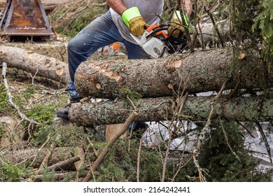 Closeup front view of a tree surgeon wearing protective gloves and blue jeans, using a chainsaw to chop fallen trees in the clean up after high winds. - Powered by Shutterstock