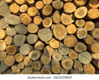 A close-up, front-facing pattern of neatly stacked wooden logs showing raw cross-sections, tree ring patterns, and cracked textures. Perfect as a natural background or graphic element for forestry, eco-friendly themes, biomass energy, and timber industry concepts.