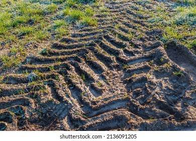 Closeup of frozen tire tracks in mud and grass.