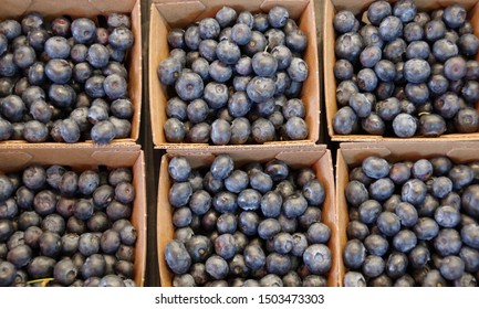 Close-up full frame view of a small cartons of fresh organic blueberries displayed at a farmers market stand