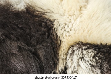 Close-Up Of Fur On A Black And White Ruffed Lemur