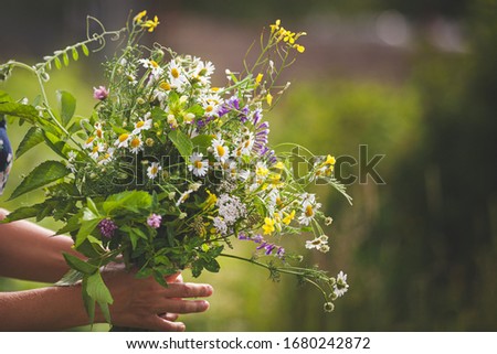 Similar – Female hands holding flower vase with wild flowers