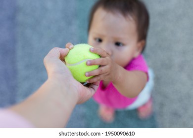 Close-up Of Girl Toddler Receiving A Tennis Ball From Parents Hand. 