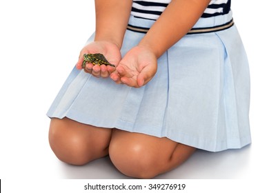 Close-up, girls hands holding a small green turtle - Isolated on white background.The concept of a Happy childhood and child development - Powered by Shutterstock