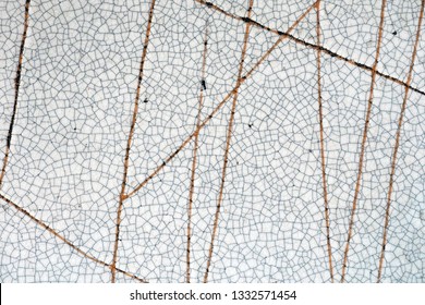 Closeup glaze surface with craze patterns