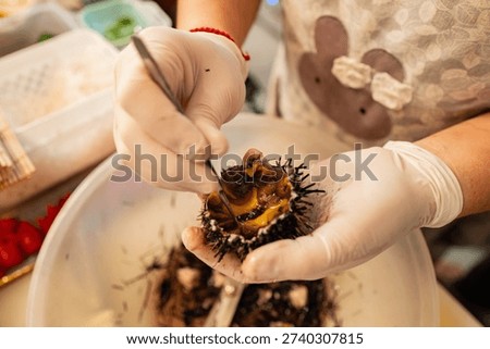 Close-up of gloved hands cracking open a fresh sea urchin to prepare uni, a premium Japanese seafood delicacy, in a professional kitchen.
