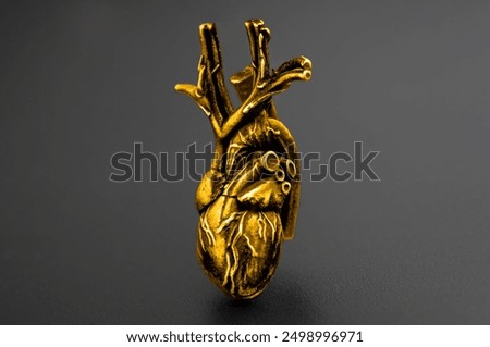 Close-up of a golden heart model featuring intricate details, set against a dark background. Perfect for educational or artistic displays in biology.