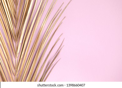 Closeup golden palm leaf