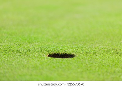 Close-up of golf ball. - Shutterstock ID 325570670