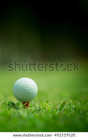 Close-up of Golf ball on Tee, golf sport is a balance of Yin Yang. 
 Paste the Text Into the Space 

