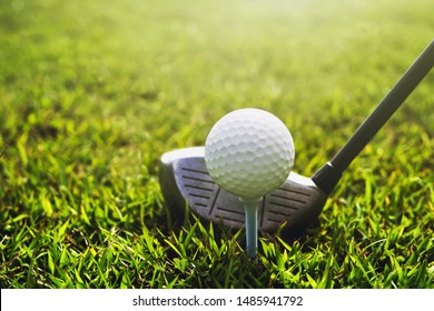Closeup Golf Club And Golf Ball On Green Grass